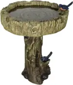 bird bath pump - Expert Guide and Reviews