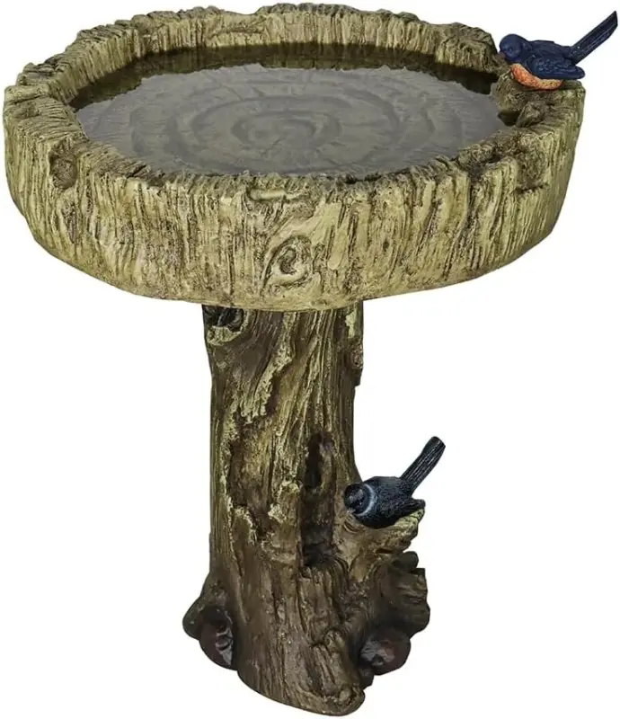 bird bath pump - Expert Guide and Reviews