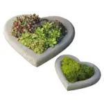 Large Heart Shell Cast Stone Birdbath Custom Brand AND100 - view 4