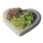 Large Heart Shell Cast Stone Birdbath Custom Brand AND100 - view 6